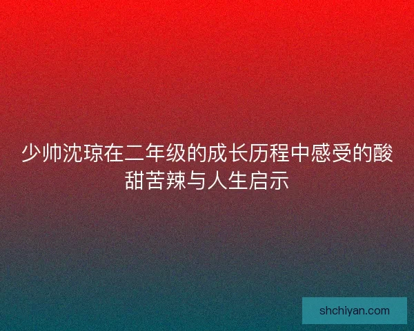 少帅沈琼在二年级的成长历程中感受的酸甜苦辣与人生启示